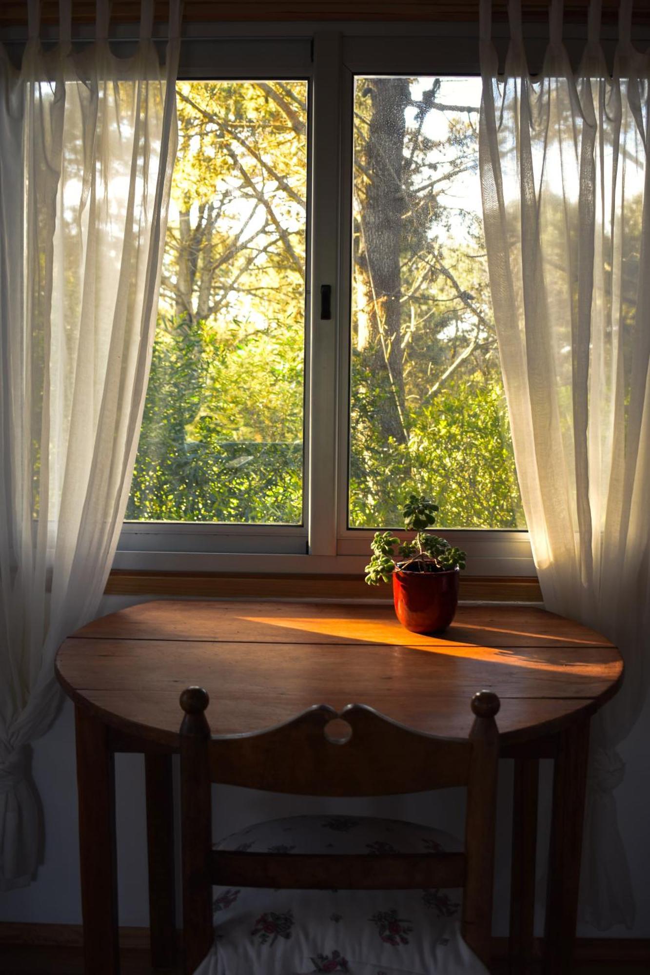 La Atrevida Bed and Breakfast Jose Ignacio  Εξωτερικό φωτογραφία