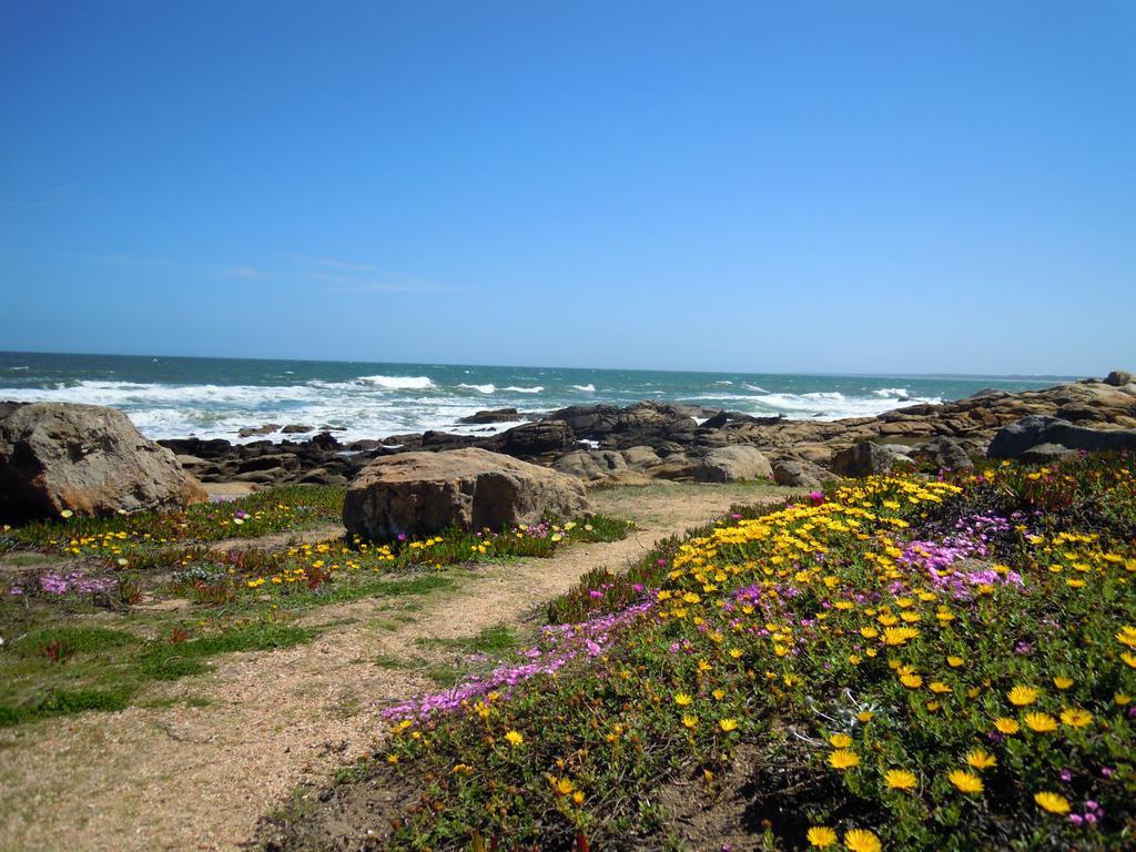 La Atrevida Bed and Breakfast Jose Ignacio  Εξωτερικό φωτογραφία