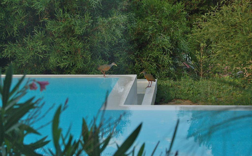 La Atrevida Bed and Breakfast Jose Ignacio  Εξωτερικό φωτογραφία