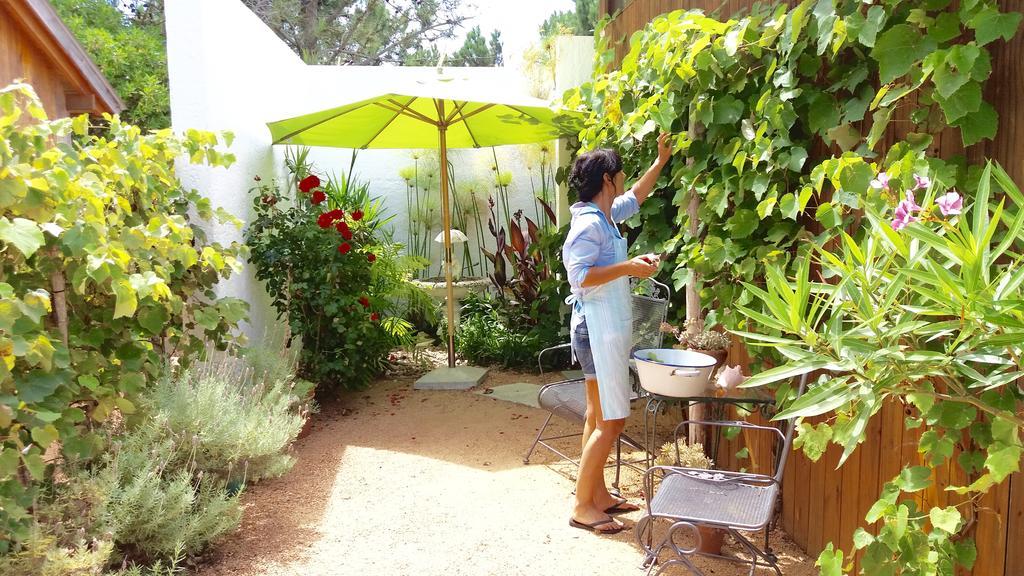 La Atrevida Bed and Breakfast Jose Ignacio  Εξωτερικό φωτογραφία