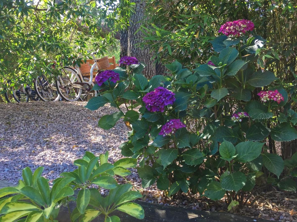 La Atrevida Bed and Breakfast Jose Ignacio  Εξωτερικό φωτογραφία